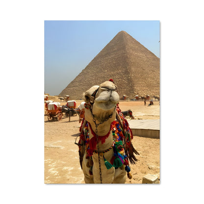 Poster Oasis des Pyramides