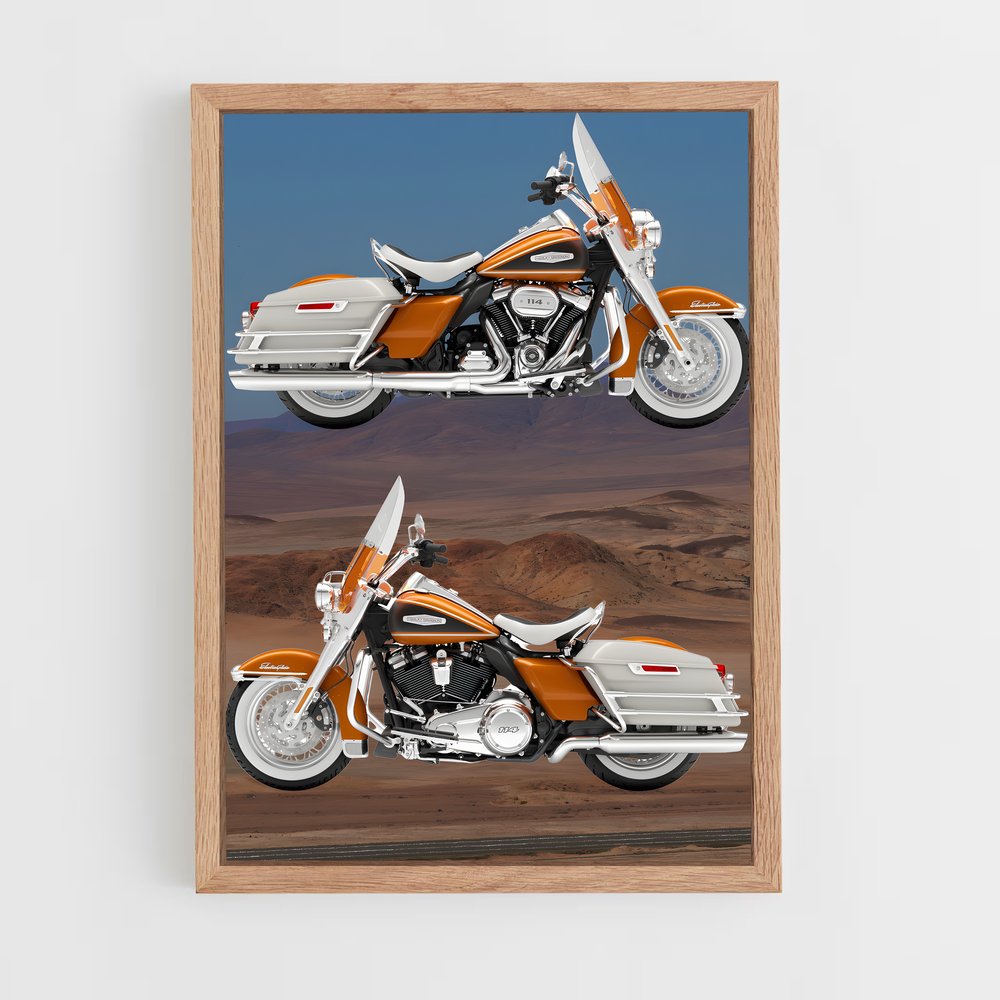 ap-electra glide-2 cadre Bois clair