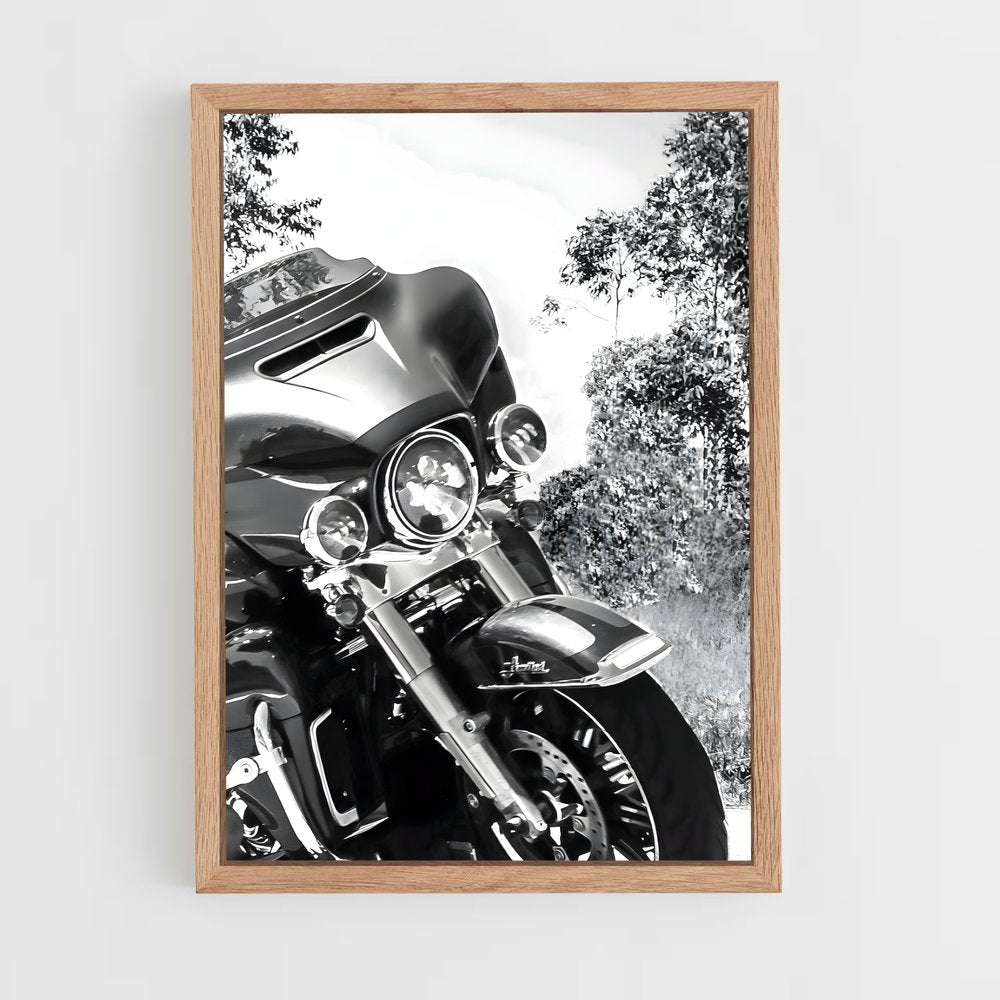 ap-electra glide-3 cadre Bois clair