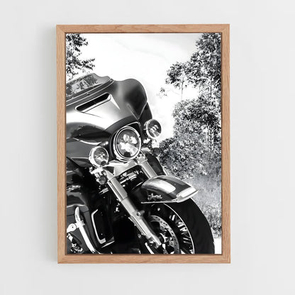 ap-electra glide-3 cadre Bois clair