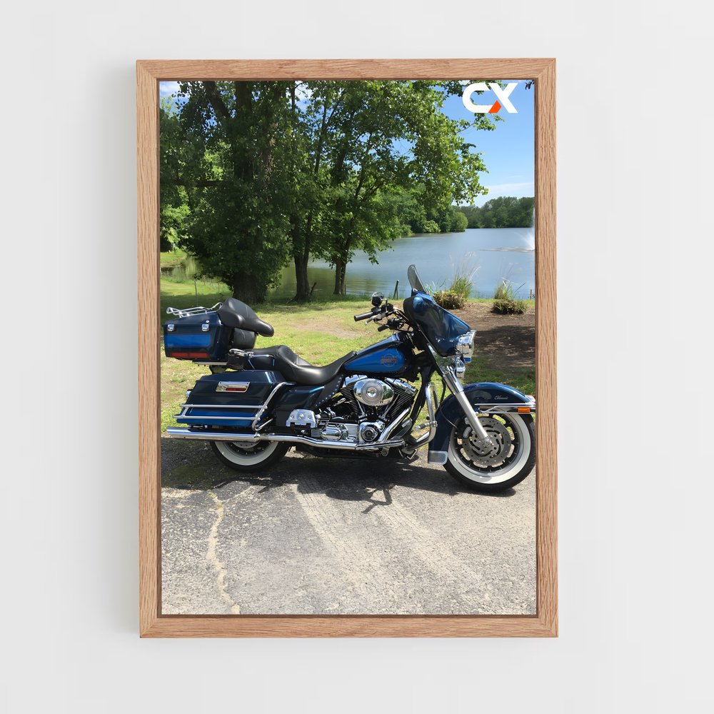 ap-electra glide-4 cadre Bois clair