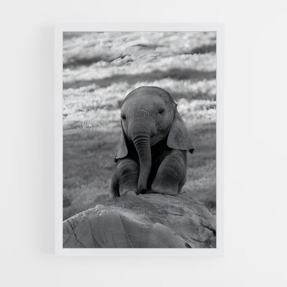 ap-elephant-8 cadre Blanc