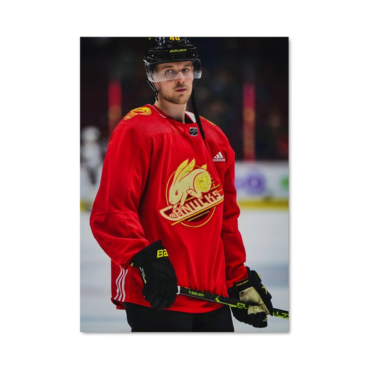 Poster Elias pettersson 74106