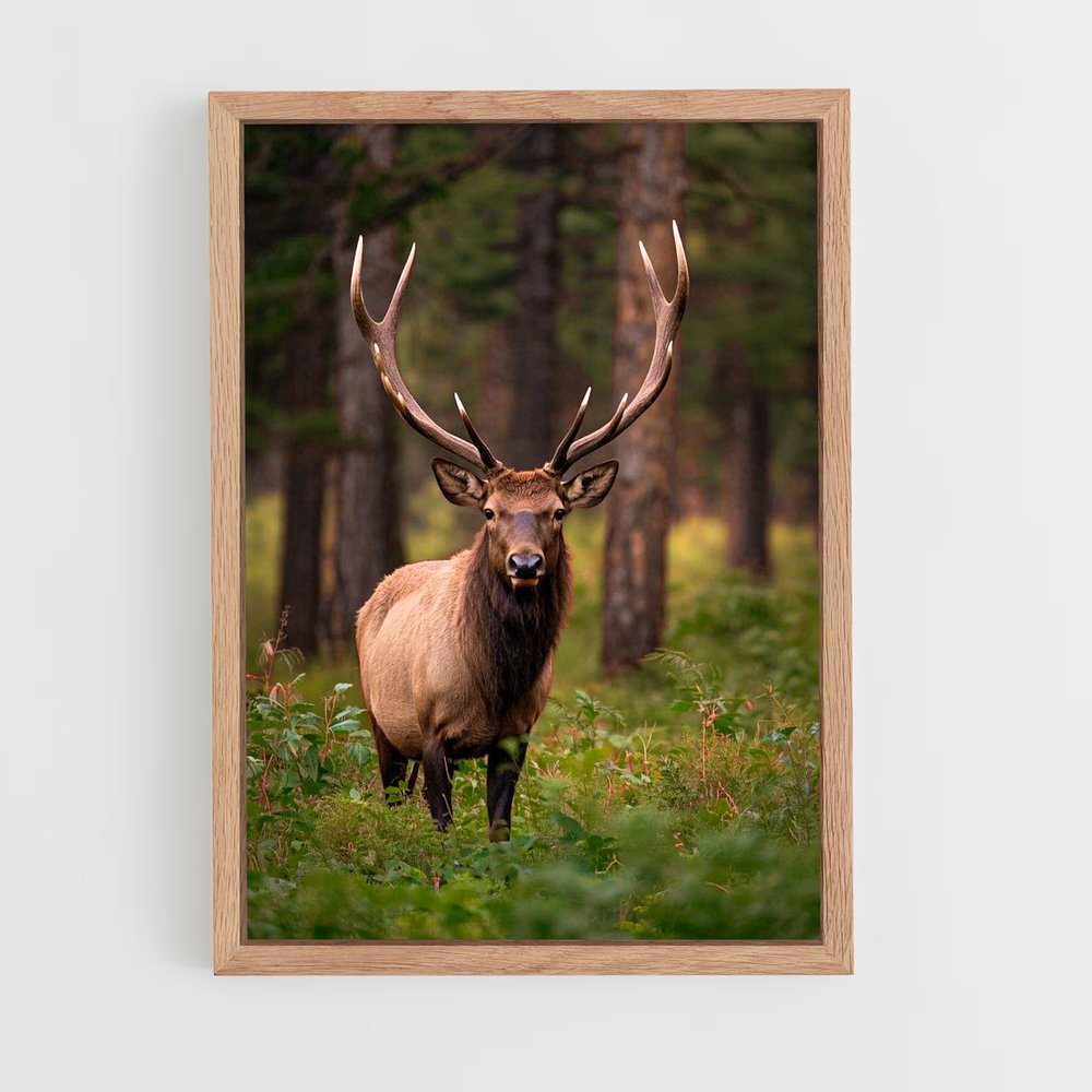 ap-elk-2 cadre Bois clair