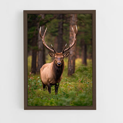 ap-elk-2 cadre Bois foncé