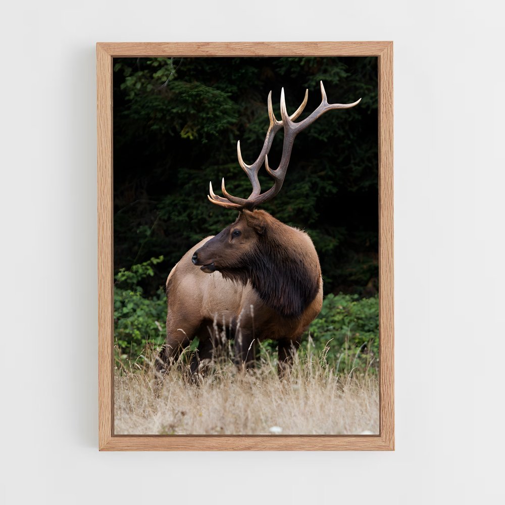 ap-elk-4 cadre Bois clair
