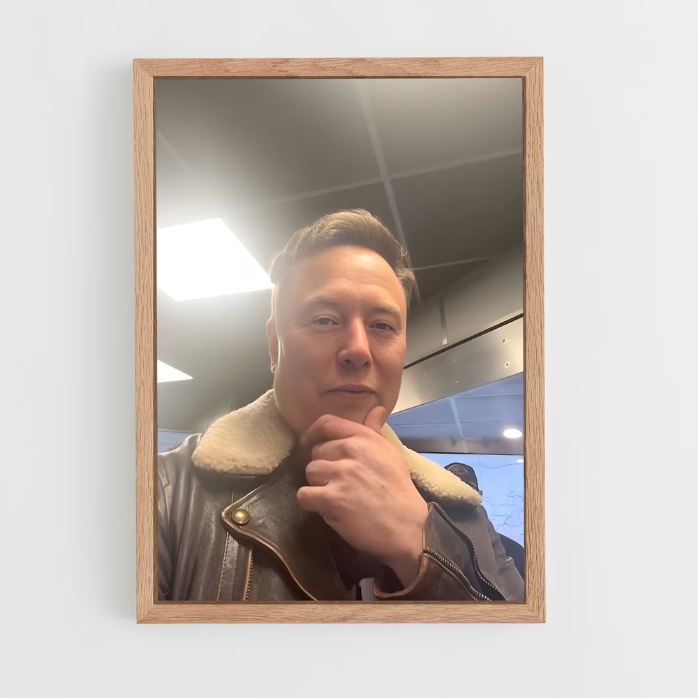 ap-elon musk-6 cadre Bois clair