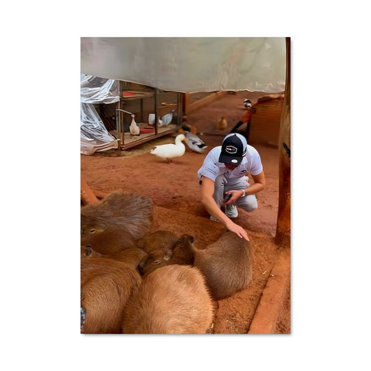 Poster Câlin avec les Capybaras
