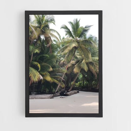 ap-equatorial guinea-4 cadre Noir