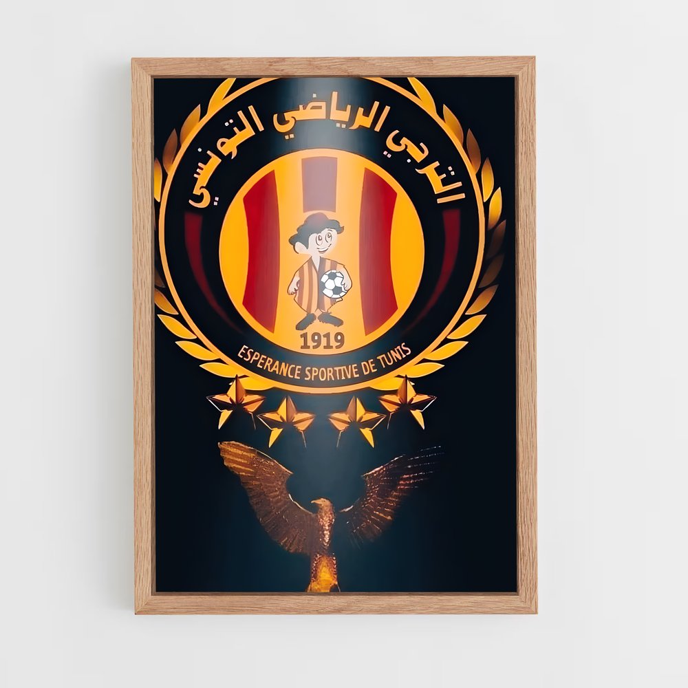 ap-esperance sportive de tunis-3 cadre Bois clair