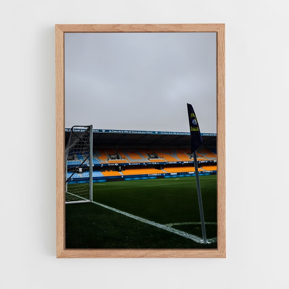 ap-estac troyes-2 cadre Bois clair