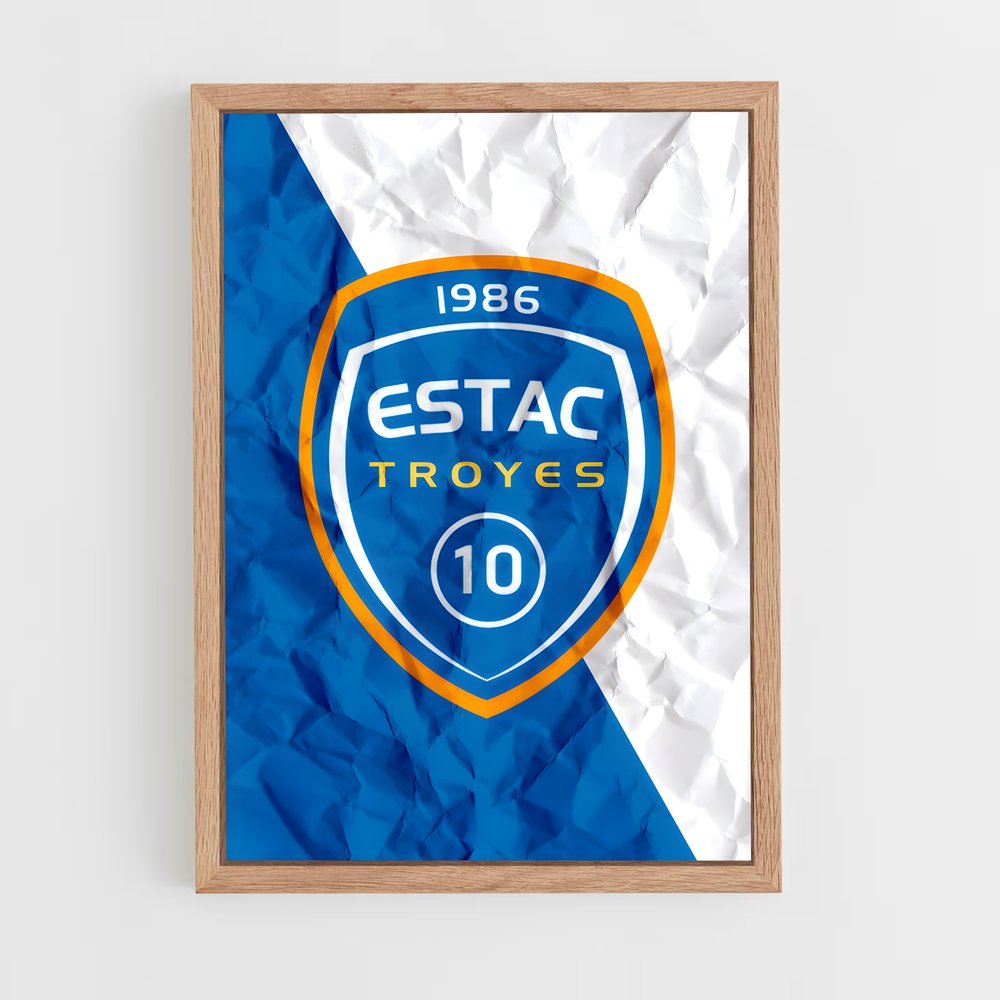 ap-estac troyes-4 cadre Bois clair