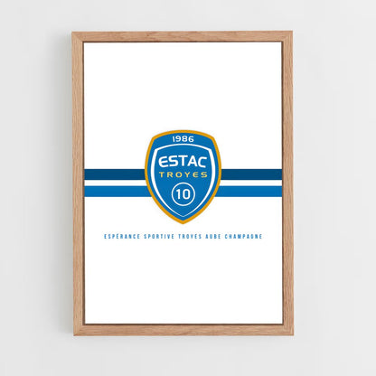 ap-estac troyes-5 cadre Bois clair