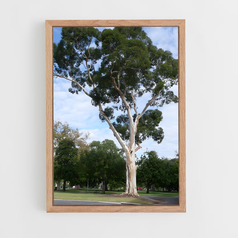 ap-eucalyptus-3 cadre Bois clair