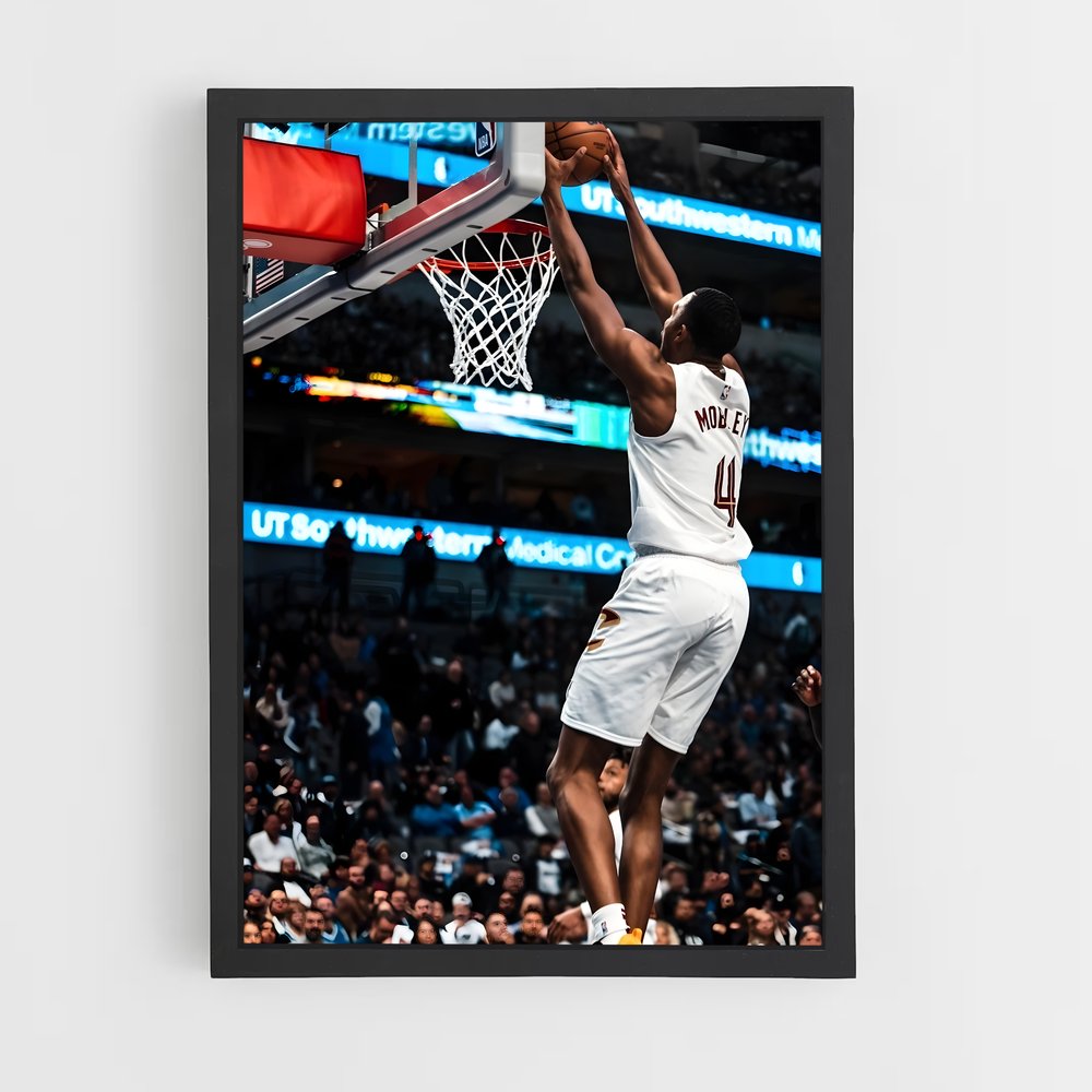 ap-evan mobley-3 cadre Noir
