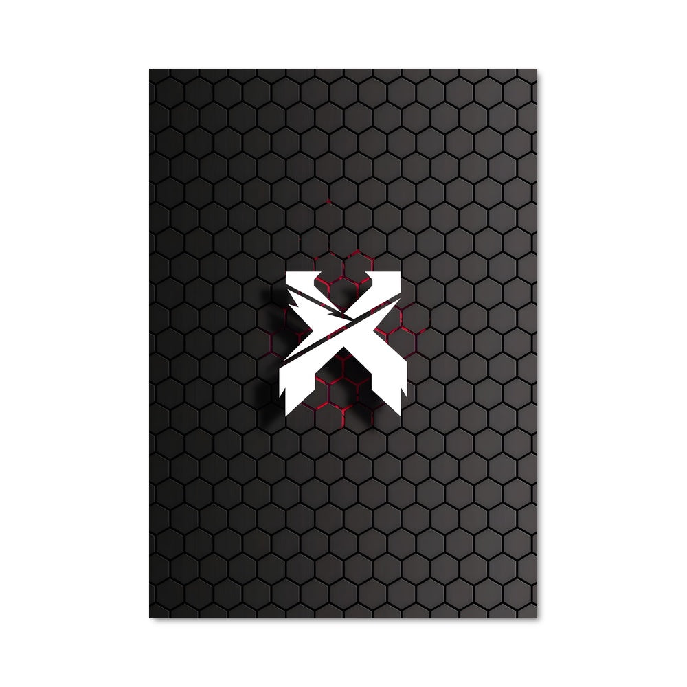 Poster Excision Énergétique