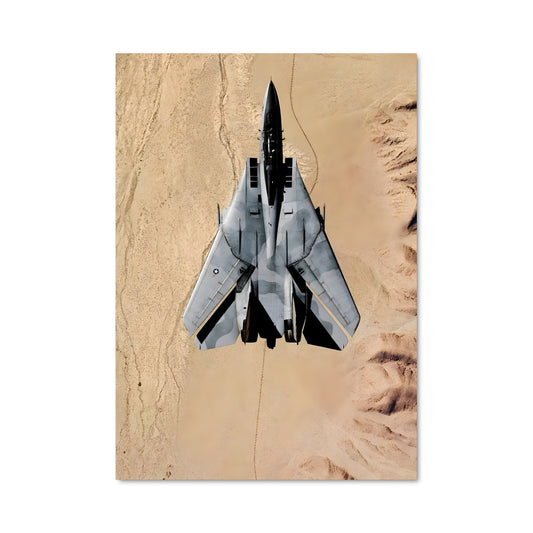 Poster Mirage F-14