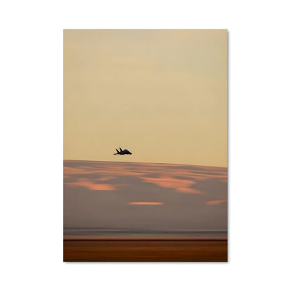 Poster F-14 tomcat 80880