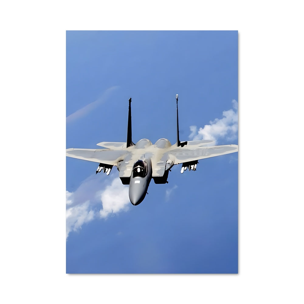 Poster Eagle in Flight