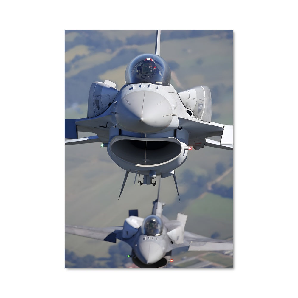 Poster Falcon de Combat