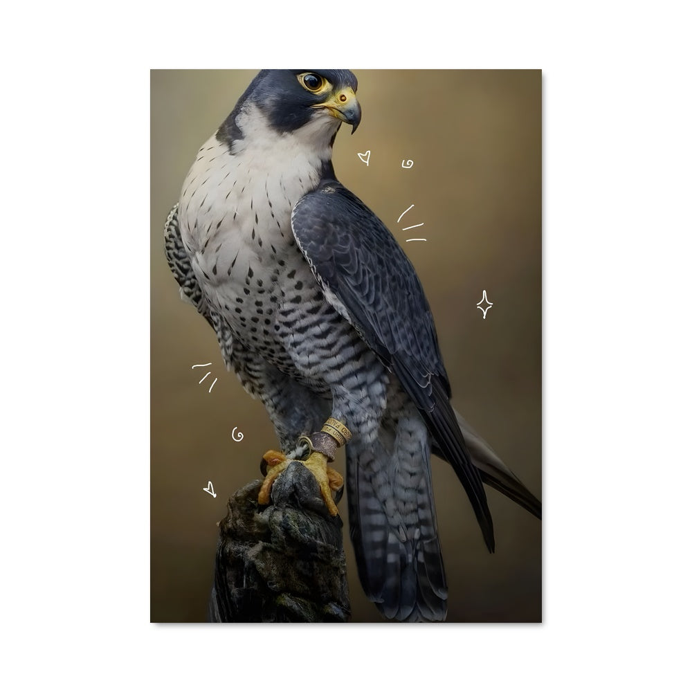 Poster Faucon Mystique