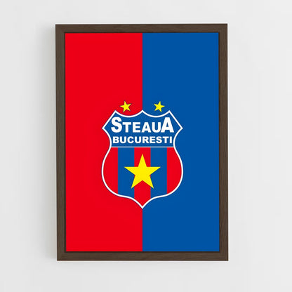 ap-fcsb steaua bucharest-3 cadre Bois foncé