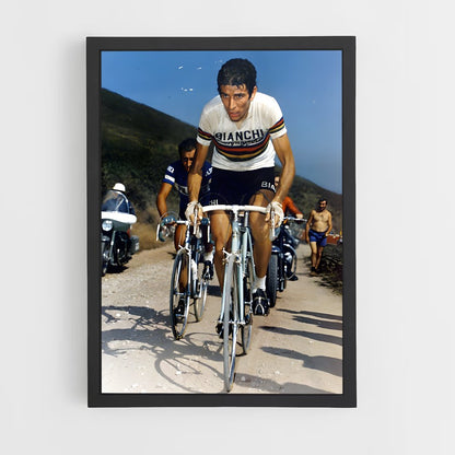 ap-felice gimondi-3 cadre Noir