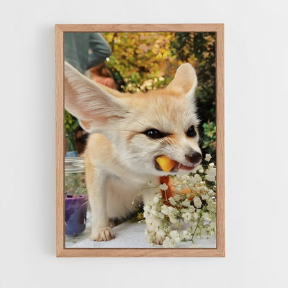 ap-fennec fox-3 cadre Bois clair