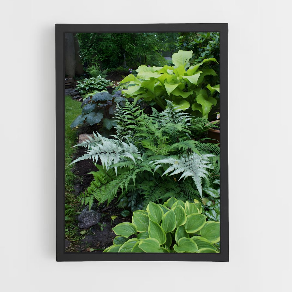 ap-ferns-6 cadre Noir