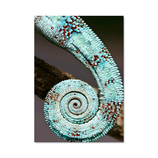 Poster Spirale Coraline