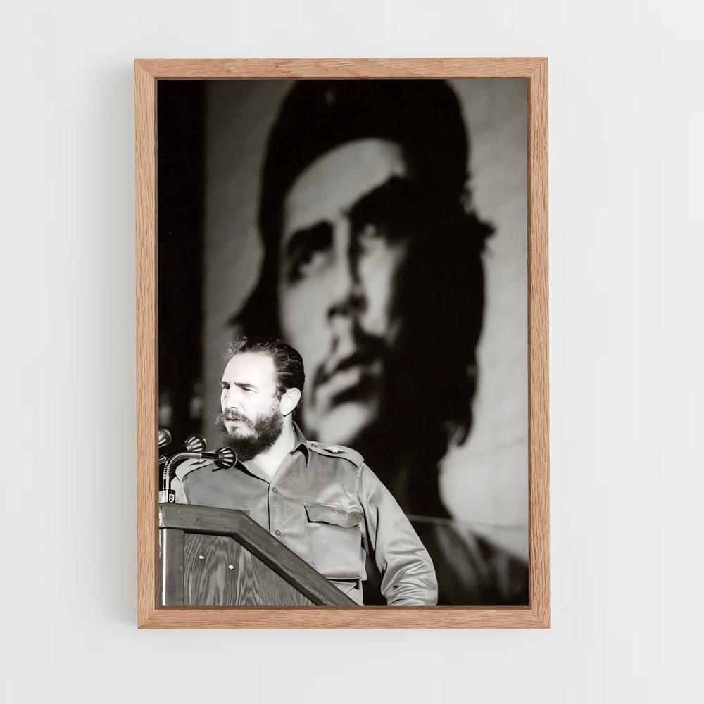 ap-fidel castro-2 cadre Bois clair