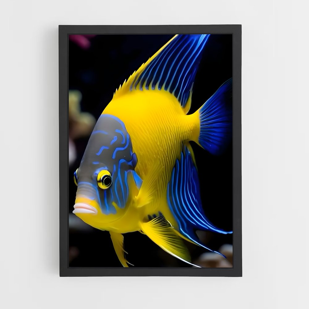 ap-fish-1 cadre Noir