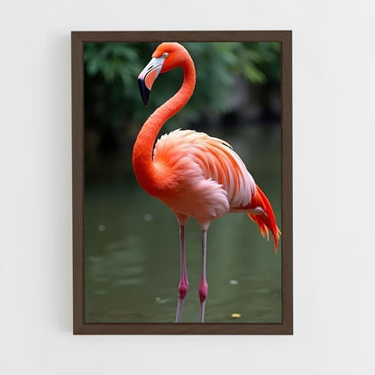 ap-flamingo-3 cadre Bois foncé