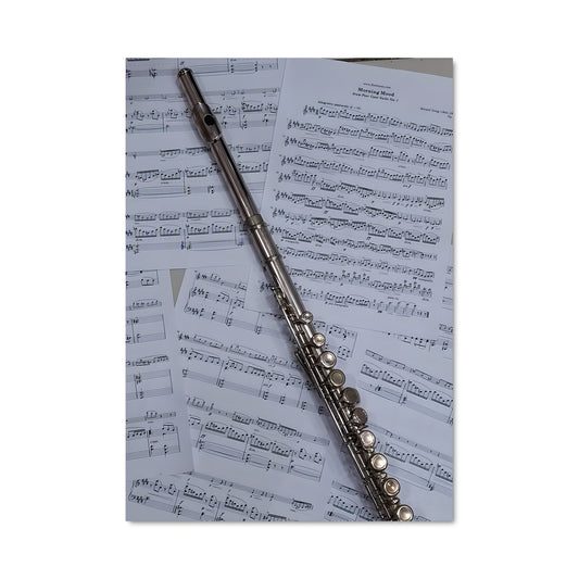 Poster Flute 46480
