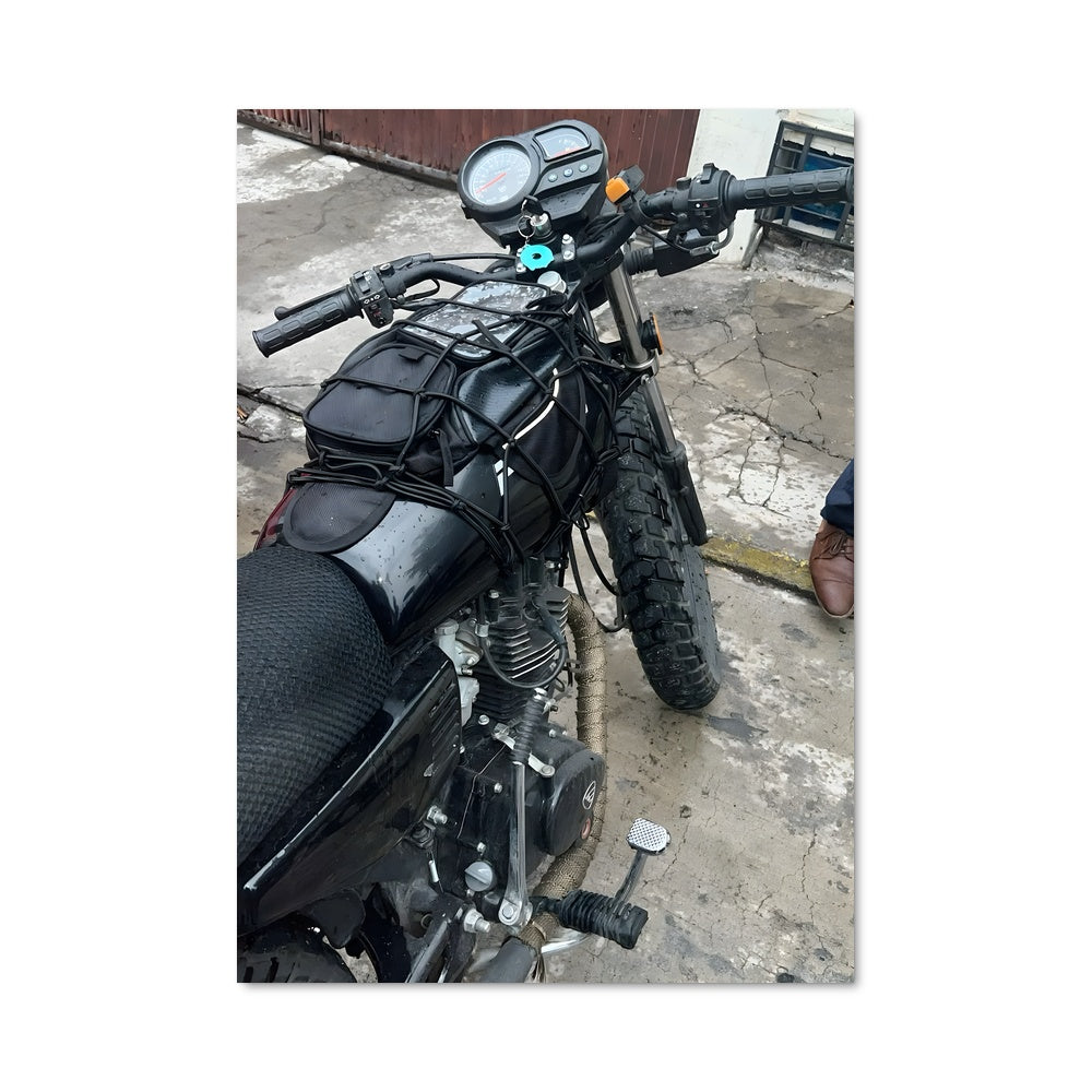 Poster Fly 150 82664