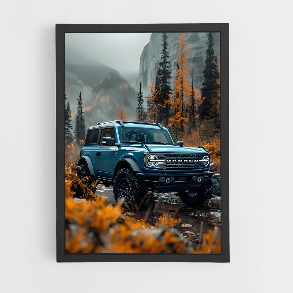 ap-ford bronco-1 cadre Noir