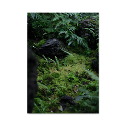 Poster Sous-bois Enchanté