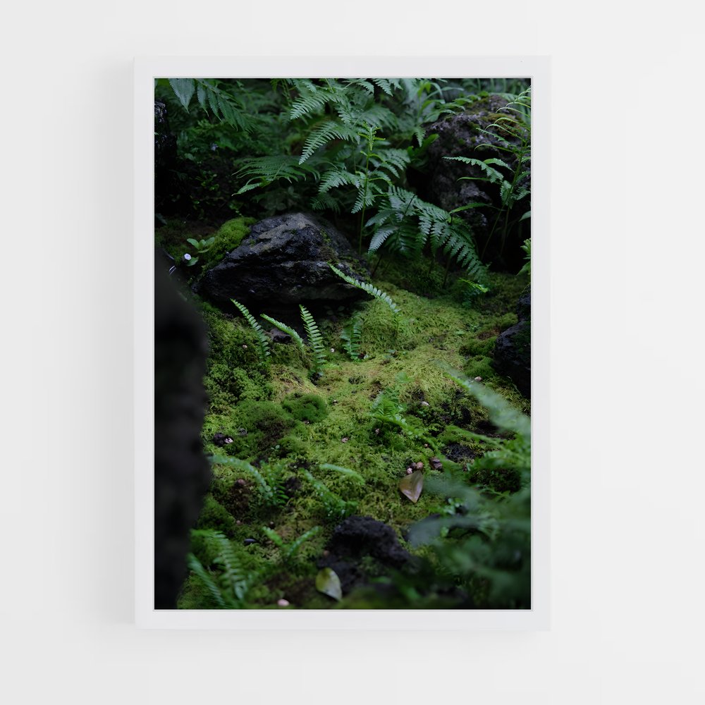 ap-forest moss-10 cadre Blanc
