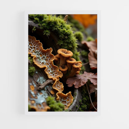 ap-forest moss-13 cadre Blanc