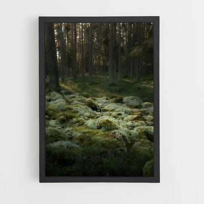 ap-forest moss-2 cadre Noir