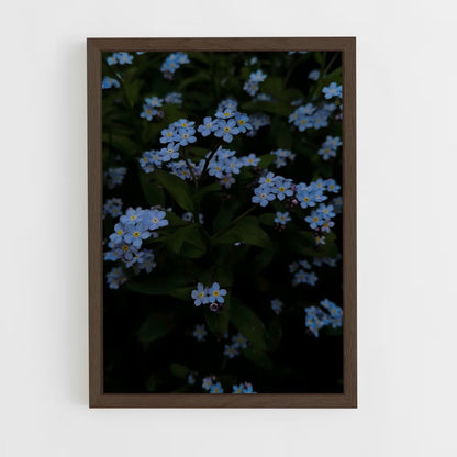 ap-forget-me-not-6 cadre Bois foncé