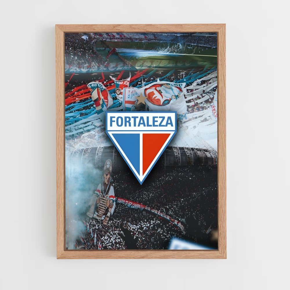 ap-fortaleza esporte clube-14 cadre Bois clair