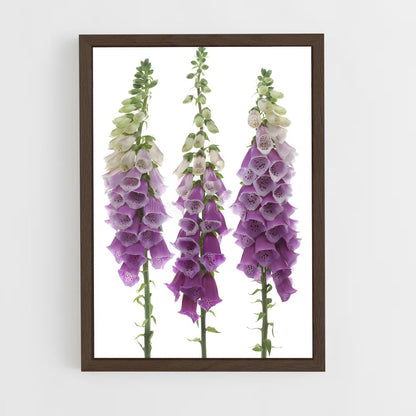 ap-foxglove-3 cadre Bois foncé