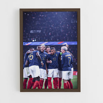ap-france 24-1 cadre Bois foncé