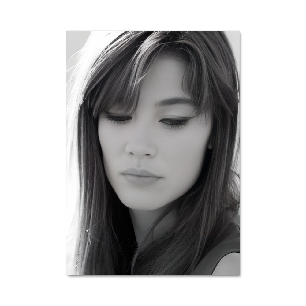 Poster Francoise hardy 51326