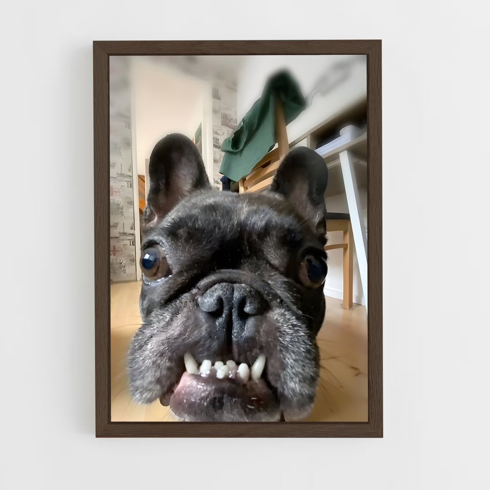 ap-french bulldog-2 cadre Bois foncé