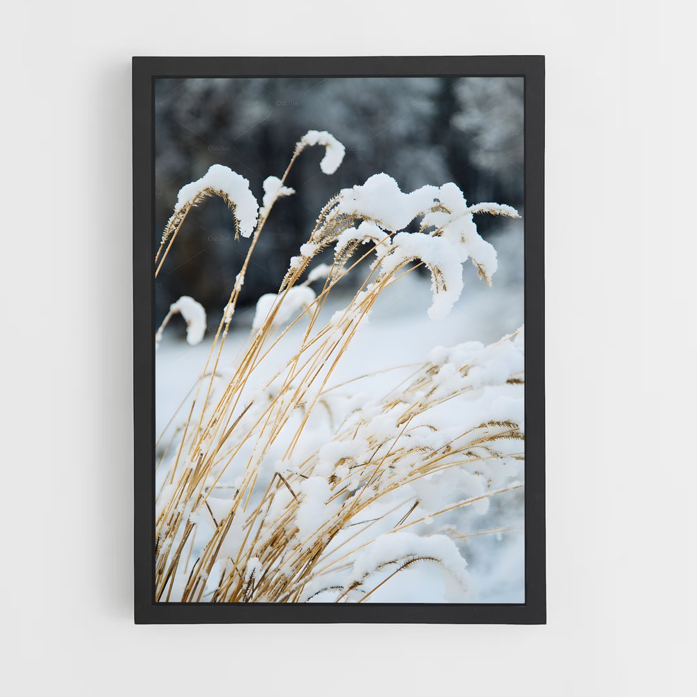 ap-fresh snow-3 cadre Noir