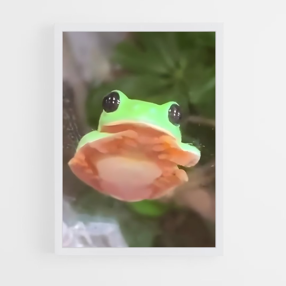 ap-frog-8 cadre Blanc