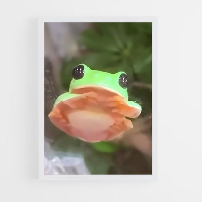 ap-frog-8 cadre Blanc