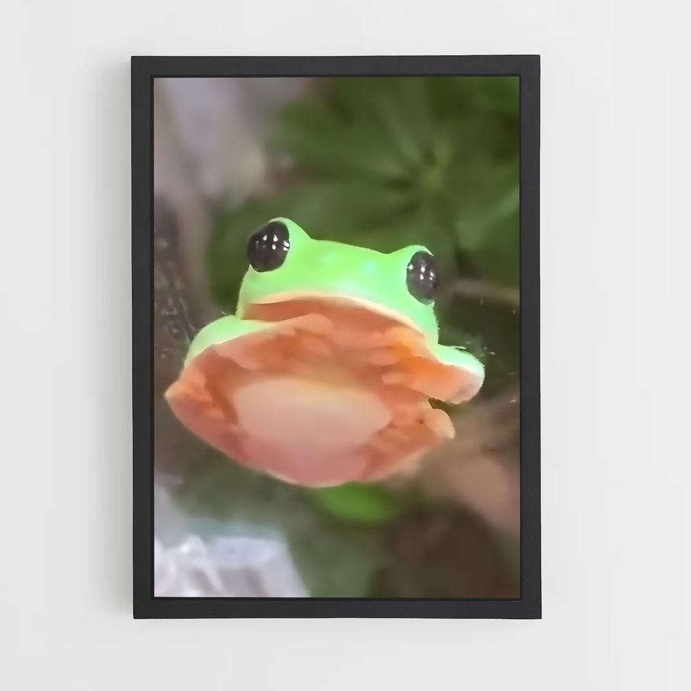 ap-frog-8 cadre Noir